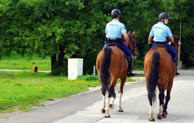 comment devenir gendarme a cheval