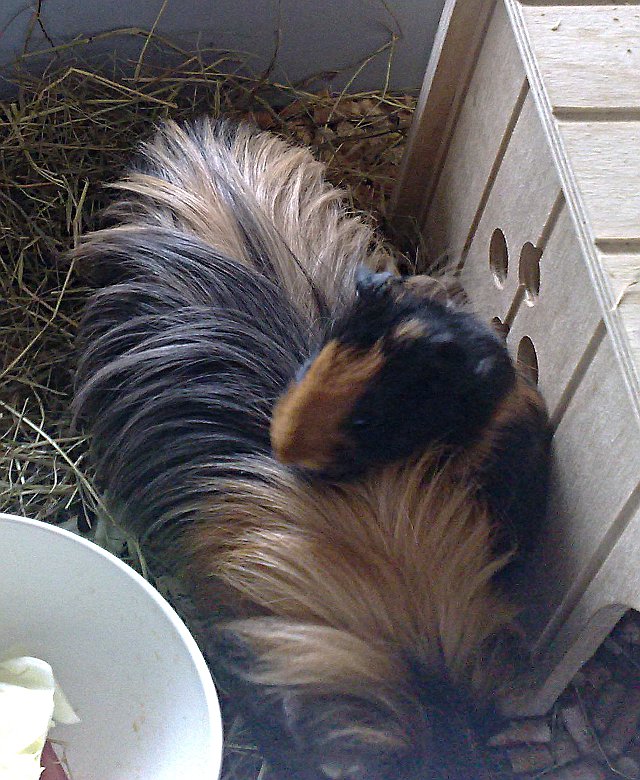 27072010.jpg