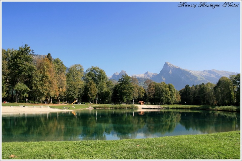 lac_bl10.jpg