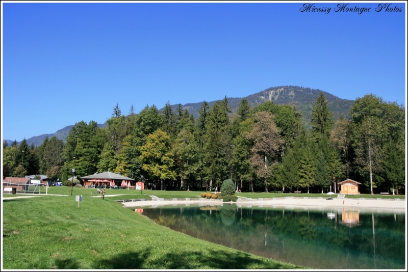 lac_bl11.jpg