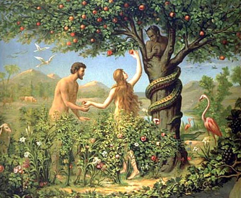 arbre-10.jpg