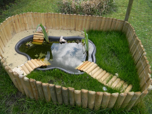 bassin de jardin pour tortue