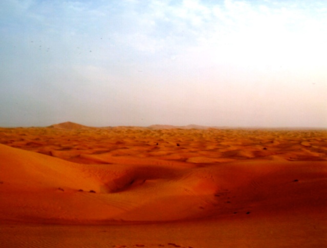 desert21.jpg