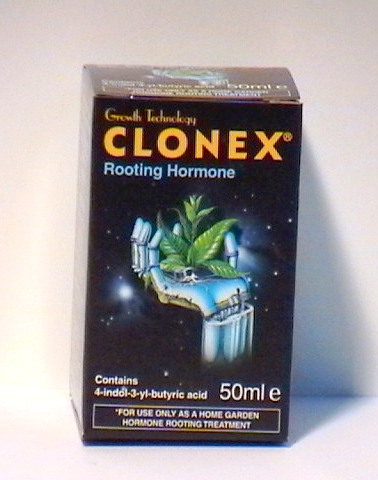 clonex11.jpg